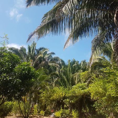 אל סאינו Eco Hostal Monolandia מראה חיצוני תמונה