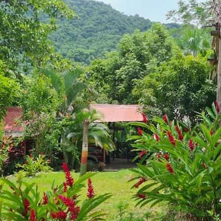 אל סאינו Eco Hostal Monolandia מראה חיצוני תמונה