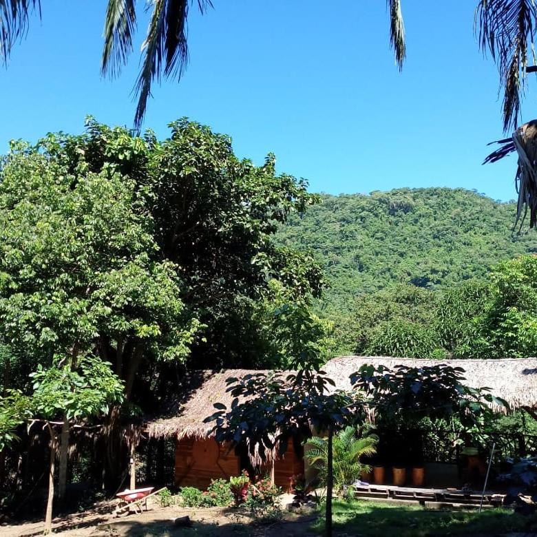 אל סאינו Eco Hostal Monolandia מראה חיצוני תמונה