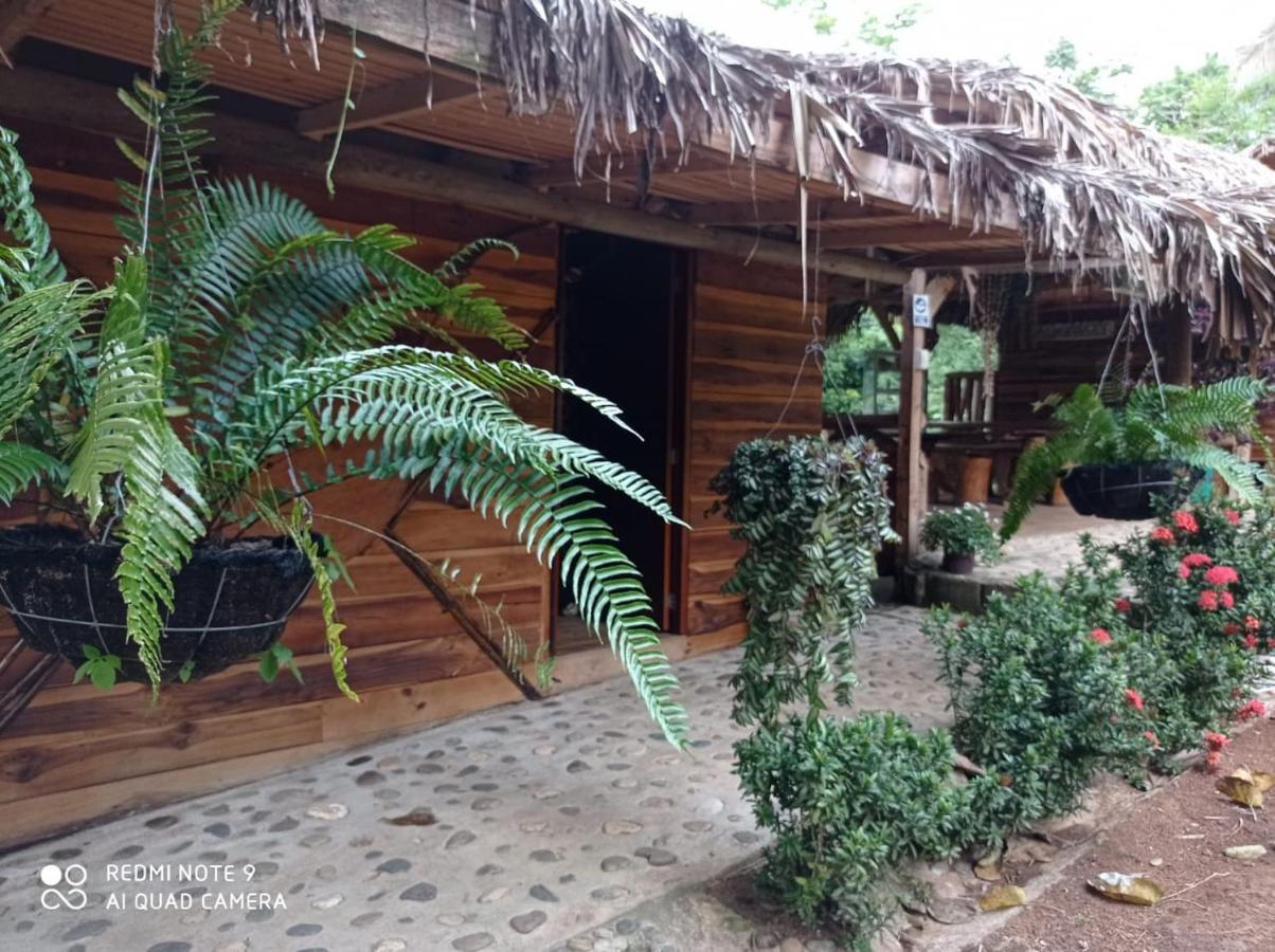 אל סאינו Eco Hostal Monolandia מראה חיצוני תמונה