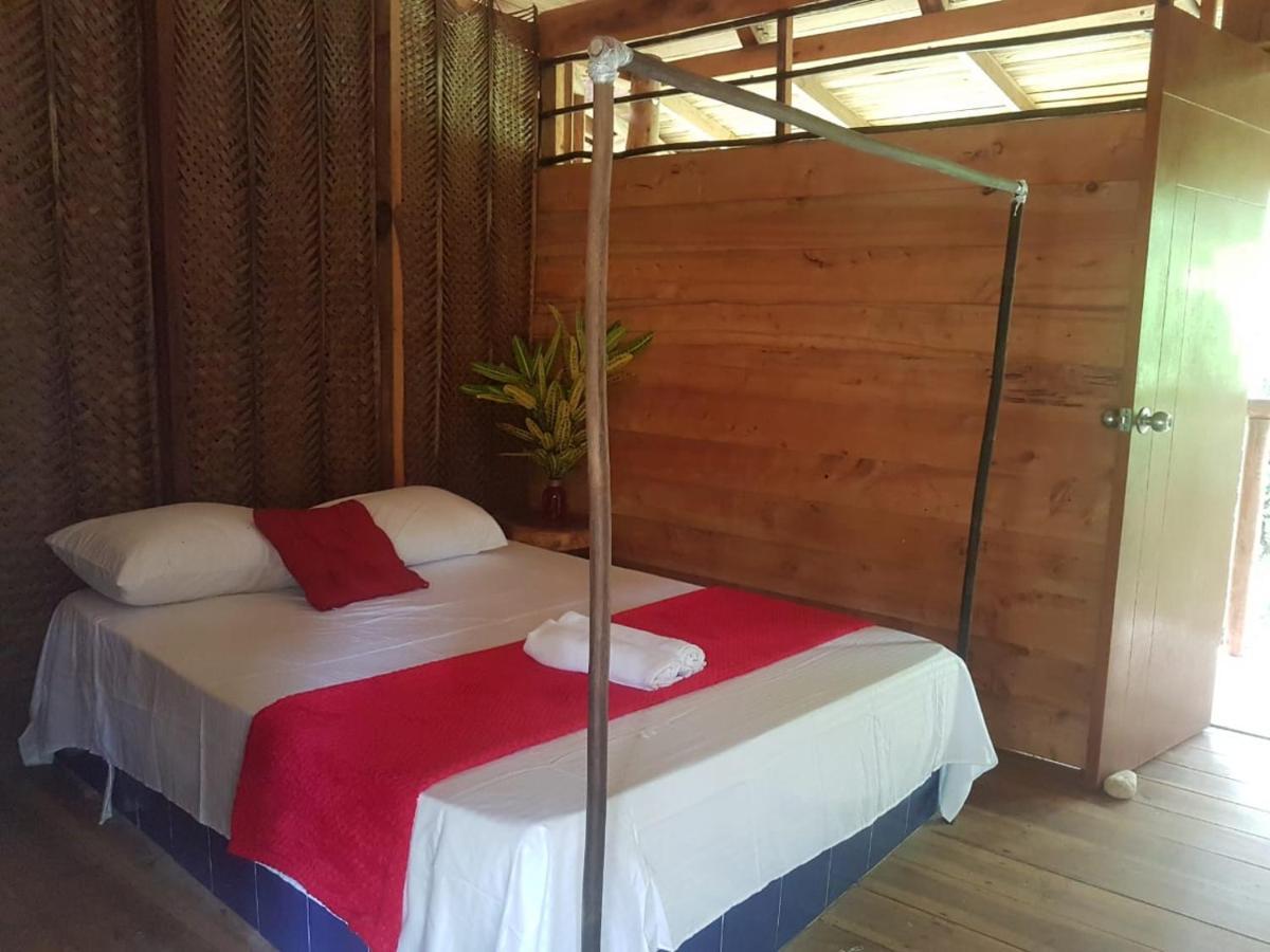 אל סאינו Eco Hostal Monolandia מראה חיצוני תמונה