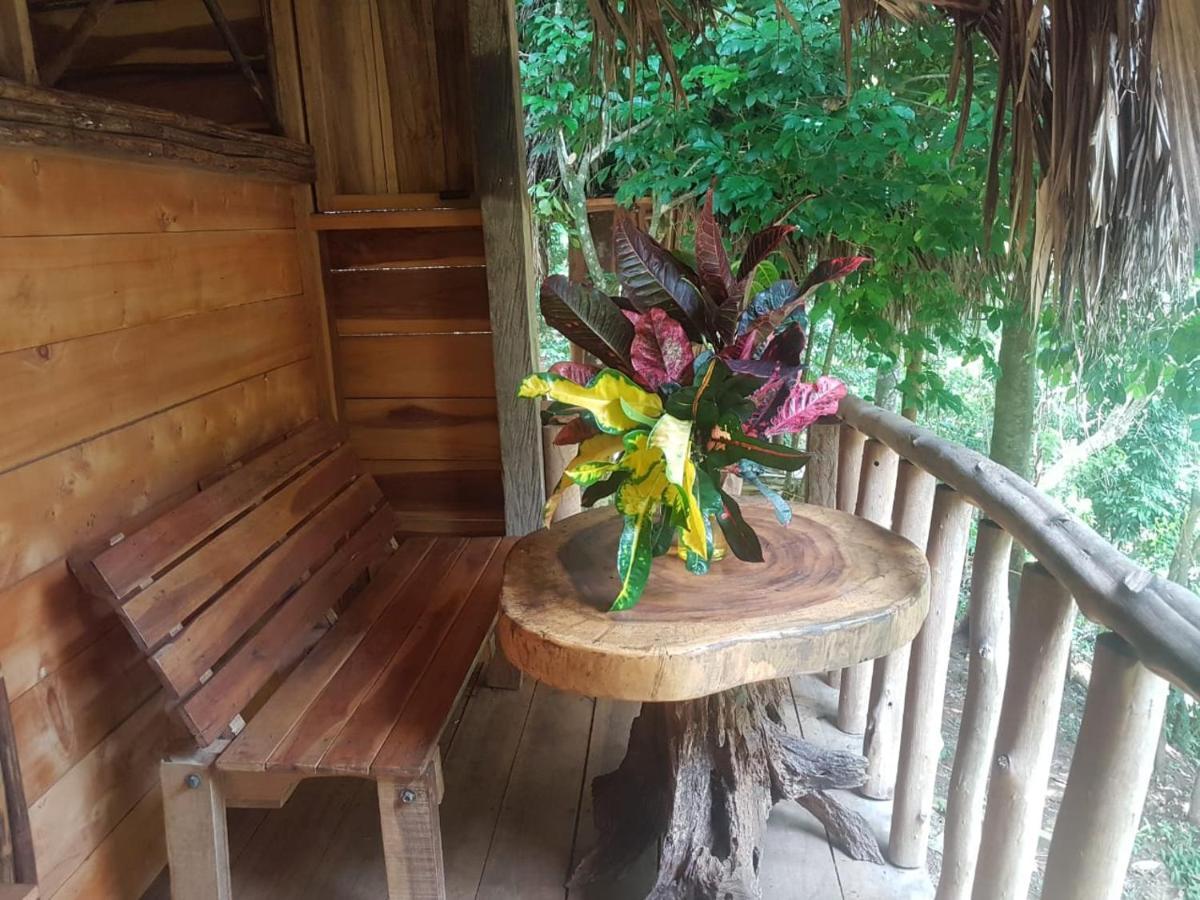 אל סאינו Eco Hostal Monolandia מראה חיצוני תמונה
