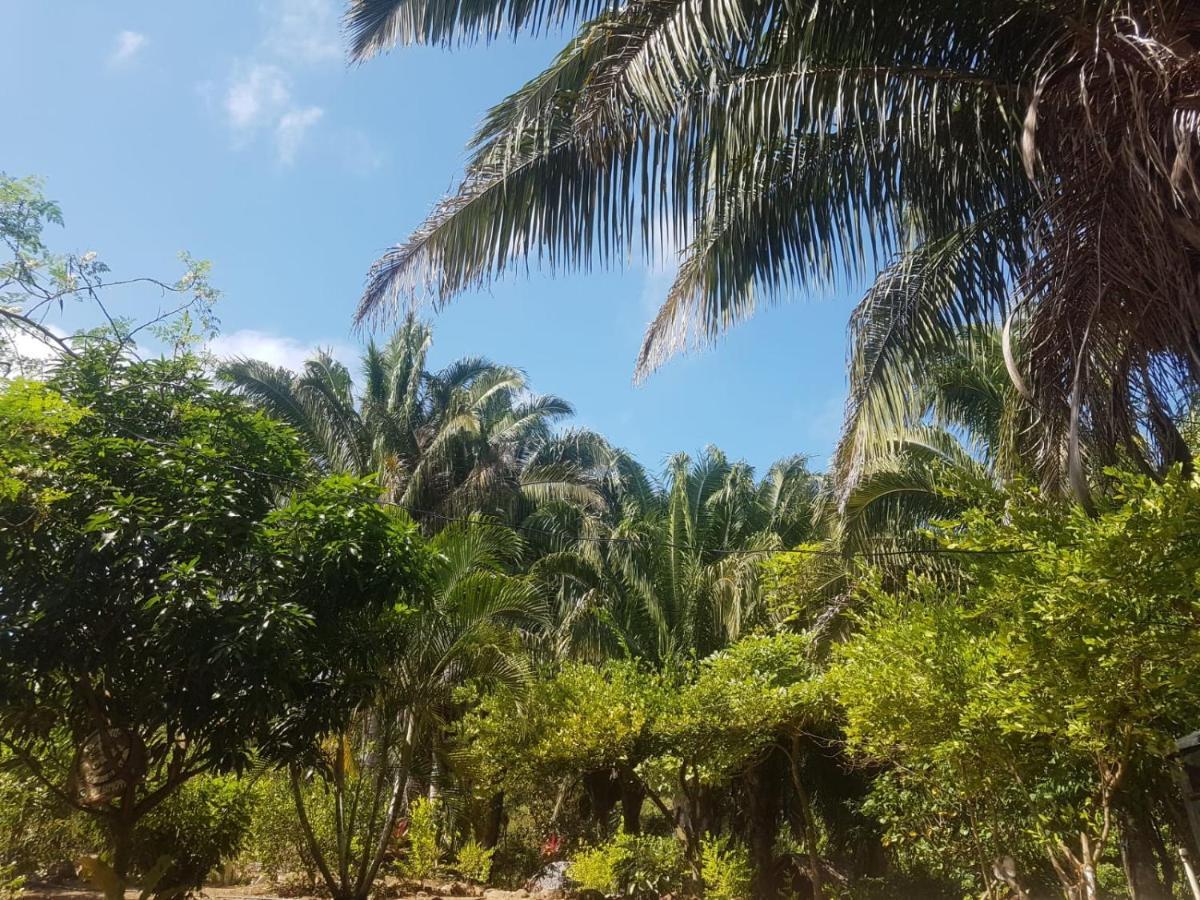 אל סאינו Eco Hostal Monolandia מראה חיצוני תמונה