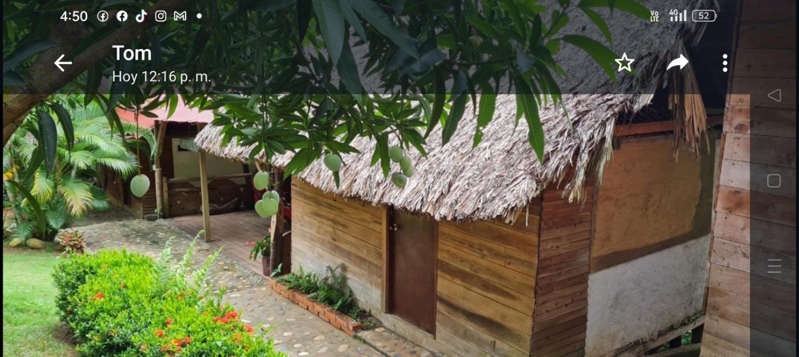 אל סאינו Eco Hostal Monolandia מראה חיצוני תמונה