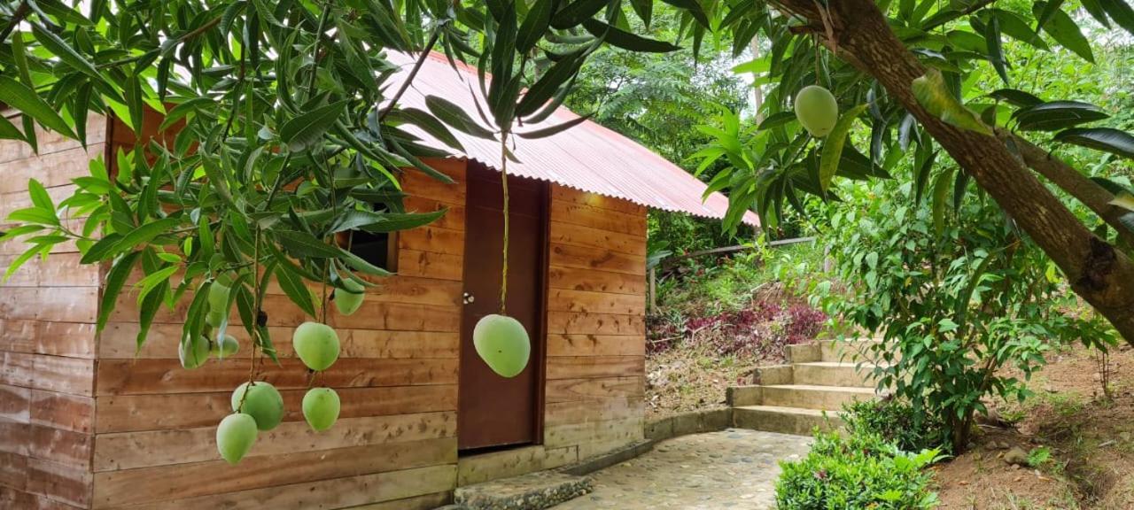 אל סאינו Eco Hostal Monolandia מראה חיצוני תמונה