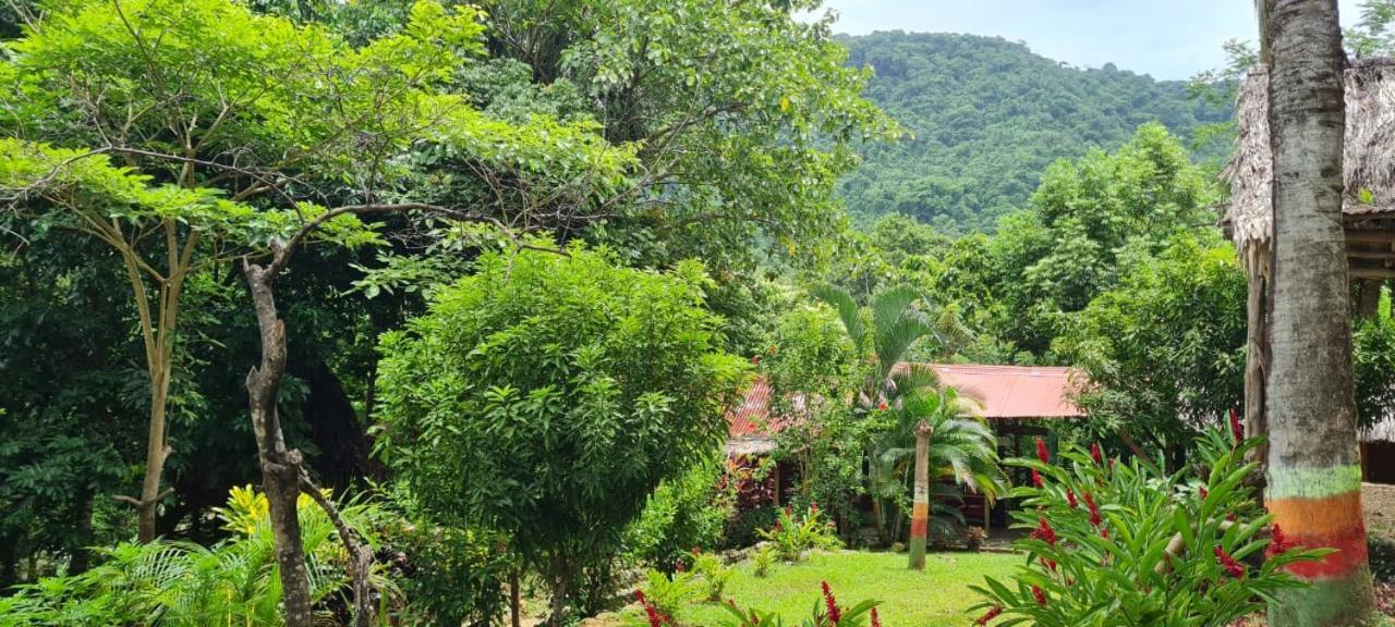 אל סאינו Eco Hostal Monolandia מראה חיצוני תמונה