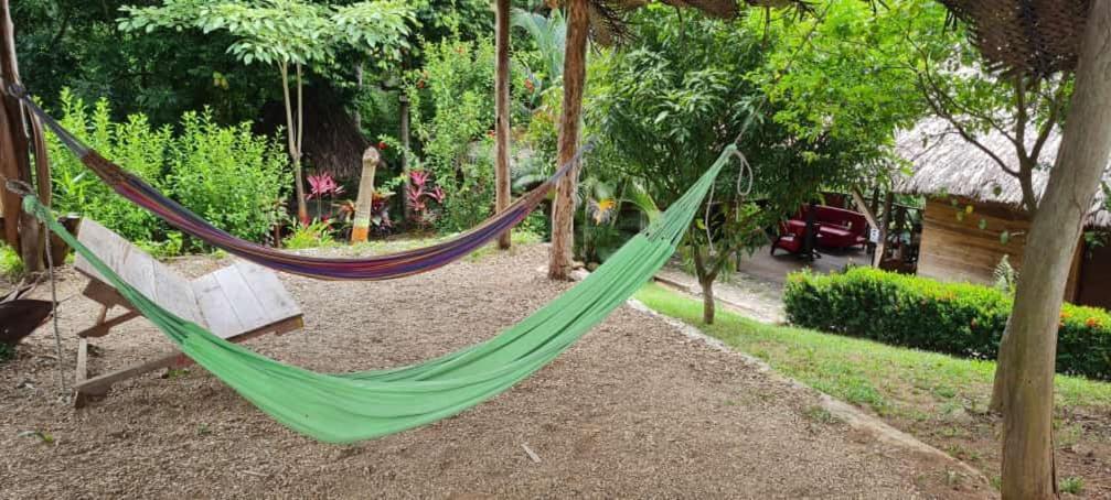 אל סאינו Eco Hostal Monolandia מראה חיצוני תמונה