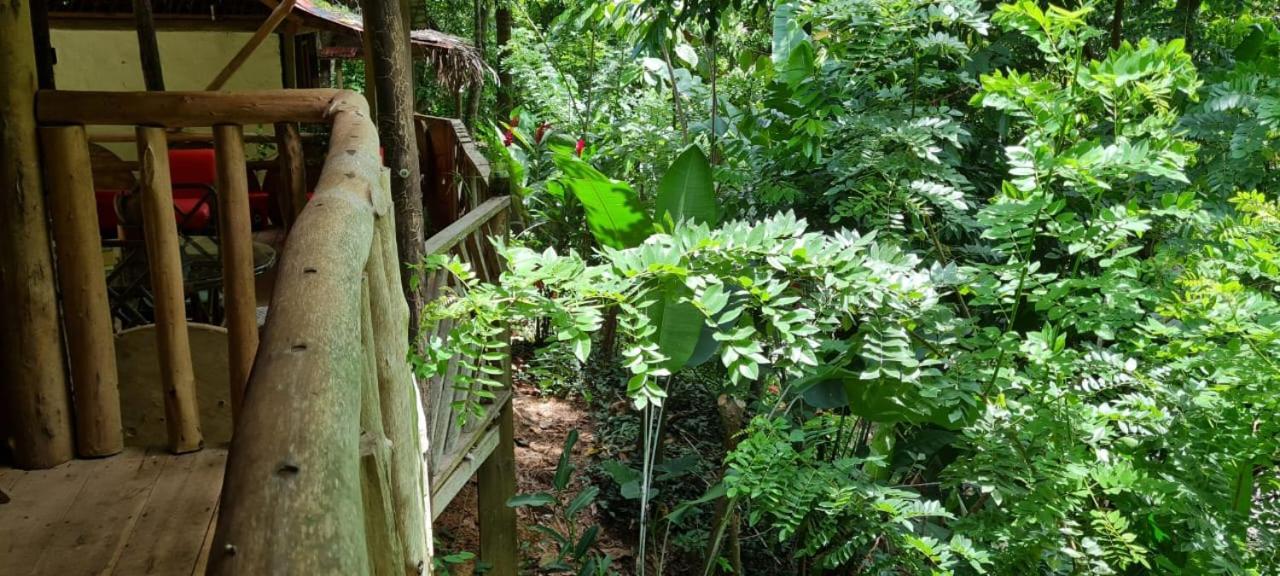 אל סאינו Eco Hostal Monolandia מראה חיצוני תמונה