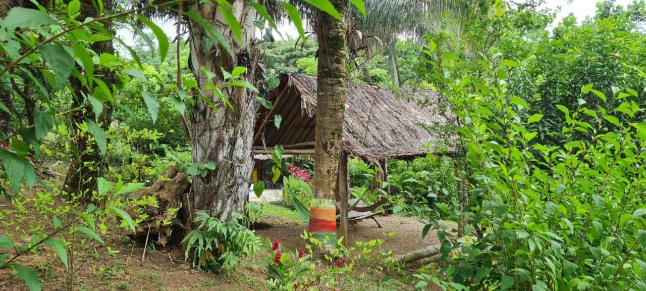 אל סאינו Eco Hostal Monolandia מראה חיצוני תמונה