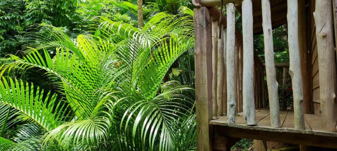 אל סאינו Eco Hostal Monolandia מראה חיצוני תמונה