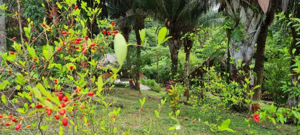 אל סאינו Eco Hostal Monolandia מראה חיצוני תמונה