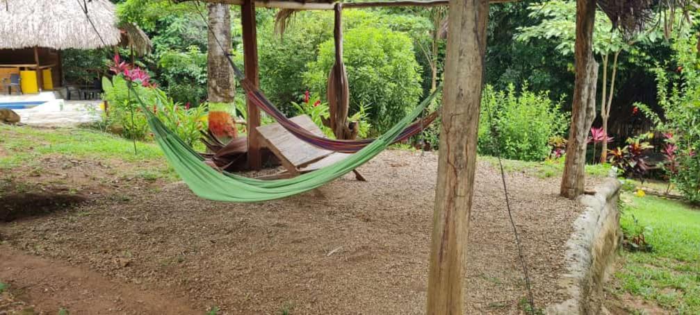 אל סאינו Eco Hostal Monolandia מראה חיצוני תמונה