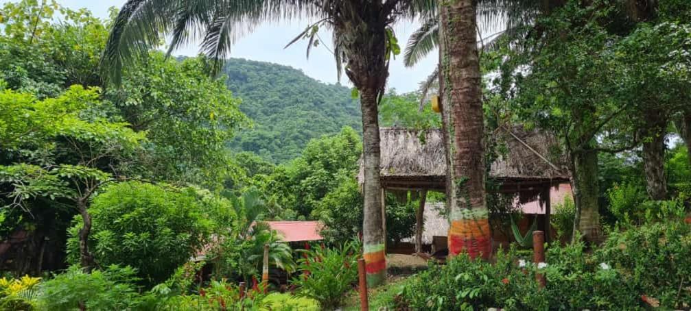 אל סאינו Eco Hostal Monolandia מראה חיצוני תמונה