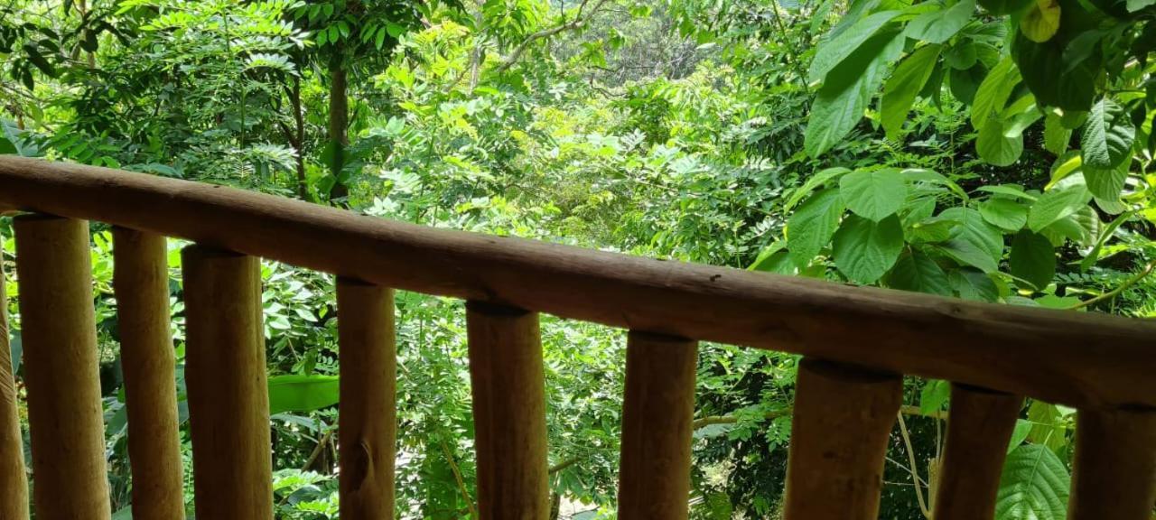 אל סאינו Eco Hostal Monolandia מראה חיצוני תמונה