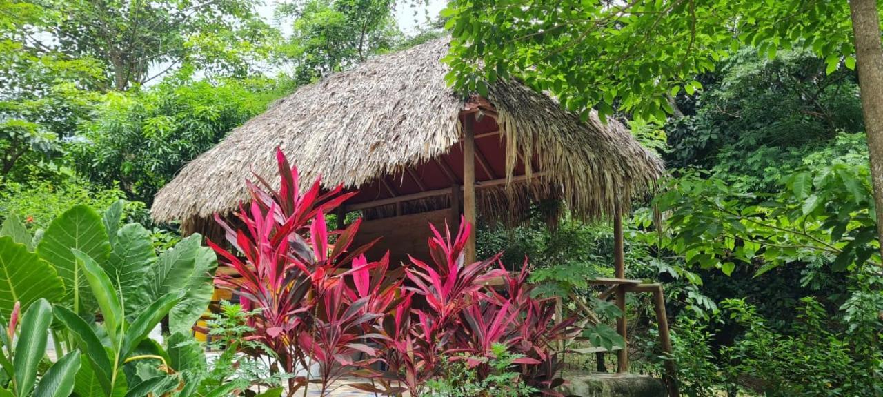 אל סאינו Eco Hostal Monolandia מראה חיצוני תמונה