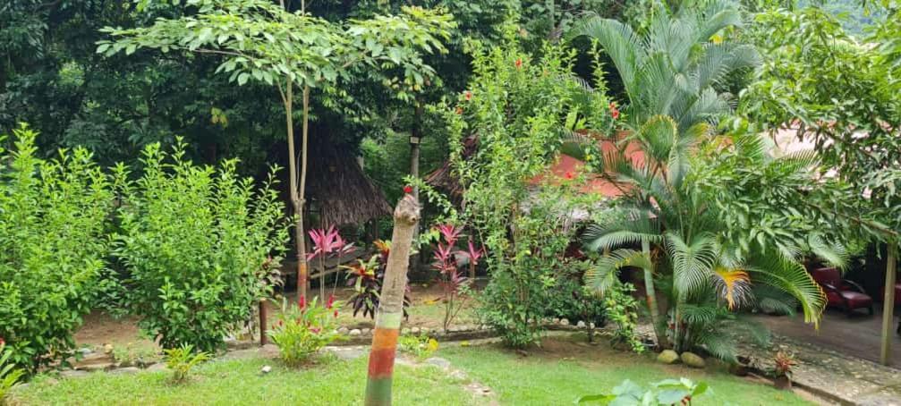 אל סאינו Eco Hostal Monolandia מראה חיצוני תמונה