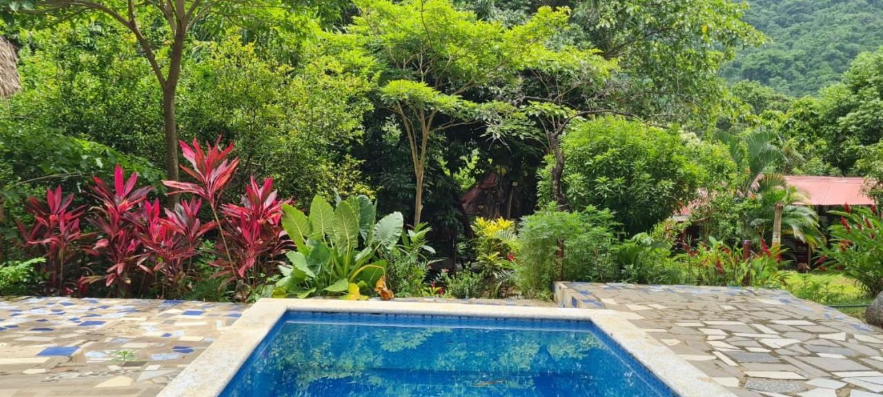אל סאינו Eco Hostal Monolandia מראה חיצוני תמונה