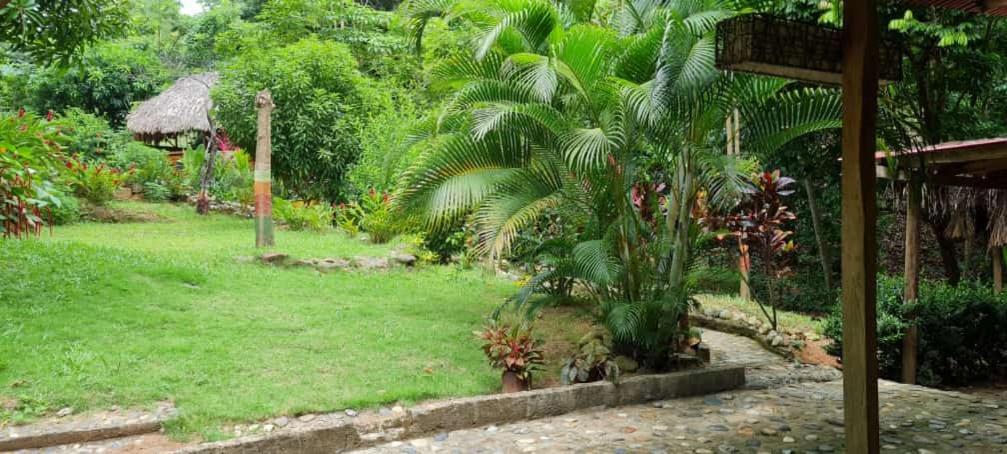 אל סאינו Eco Hostal Monolandia מראה חיצוני תמונה