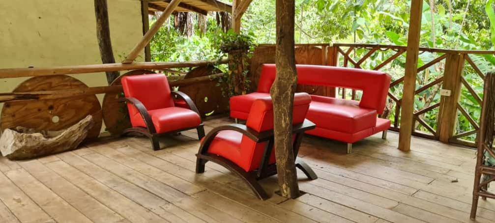 אל סאינו Eco Hostal Monolandia מראה חיצוני תמונה