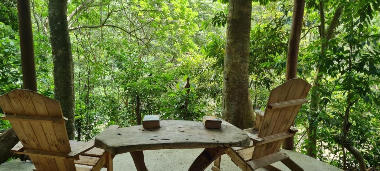אל סאינו Eco Hostal Monolandia מראה חיצוני תמונה
