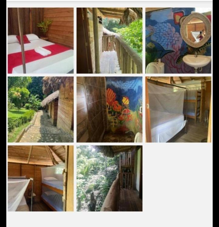 אל סאינו Eco Hostal Monolandia חדר תמונה