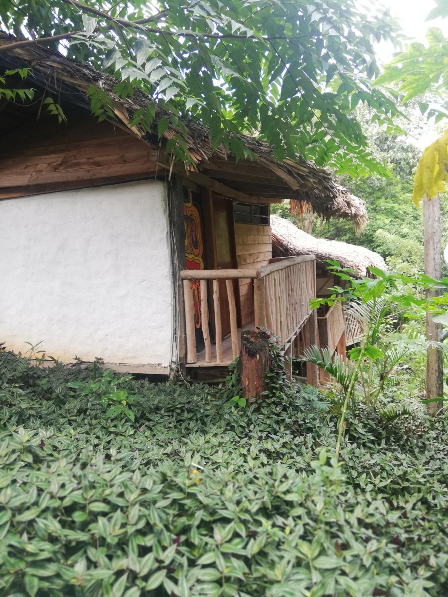 אל סאינו Eco Hostal Monolandia חדר תמונה